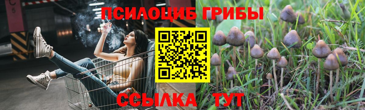 Галлюциногенные грибы ЛСД  Вход с VPN  Сафоново  Псилоцибиновые грибы Psilocybine cubensis 